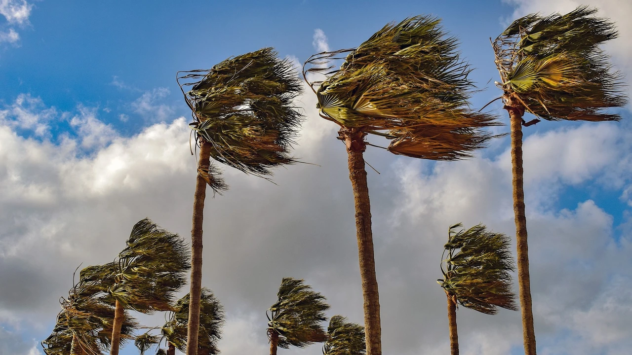 توقعات بهبوب رياح قوية وعواصف رملية في عدة مناطق مغربية من الخميس إلى الجمعة